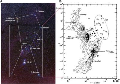 Anatomy of Orion Molecular Clouds—The Astrochemistry Perspective/Approach